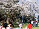 鹿ヶ城公園